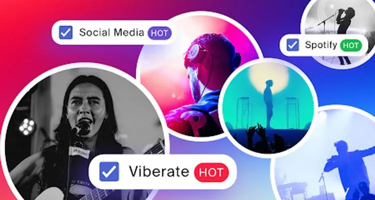 Viberate chart for emerging artists